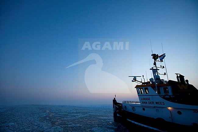 Tocht met ijsbreker van Amsterdam naar Urk, Trip from Amsterdam to Urk with icebreaker stock-image by Agami/Wil Leurs,