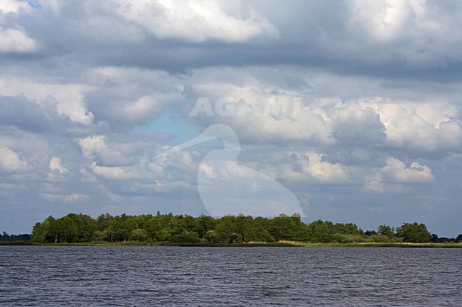 Natuurgebied De Wieden, Nature Reserve De Wieden stock-image by Agami/Marc Guyt,