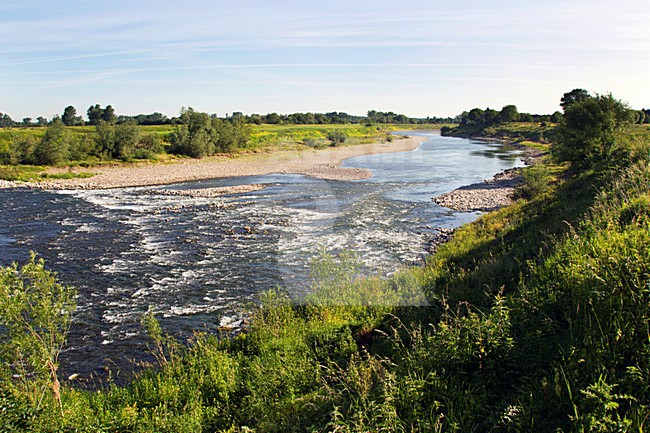 Grensmaas, Meers, Limburg; Nederland / Netherlands stock-image by Agami/Ran Schols,