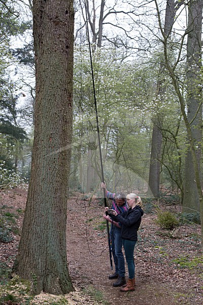 Vleermuisonderzoekers met boomcamera, Batresearchers with treecamera stock-image by Agami/Theo Douma,