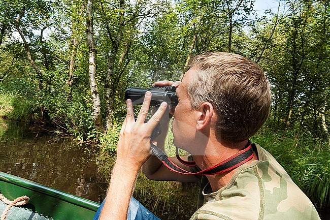 Man with binoculars at Nationaal Park de Weerribben in summer stock-image by Agami/Marc Guyt,
