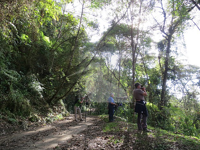 Vogelaars in Rio Blanco; Birdwatchers in Rio Blanco; Colombia stock-image by Agami/Marc Guyt,