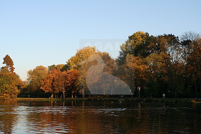 Vondelpark Amsterdam, Netherlands; Vondelpark Amsterdam, Nederland stock-image by Agami/Marc Guyt,