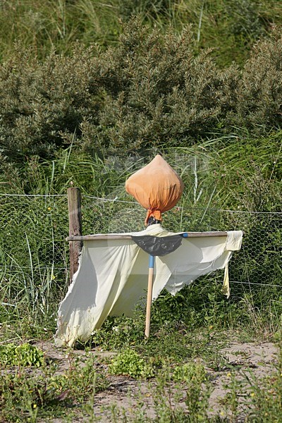 Vogelverschrikker; Scare crow stock-image by Agami/Marc Guyt,