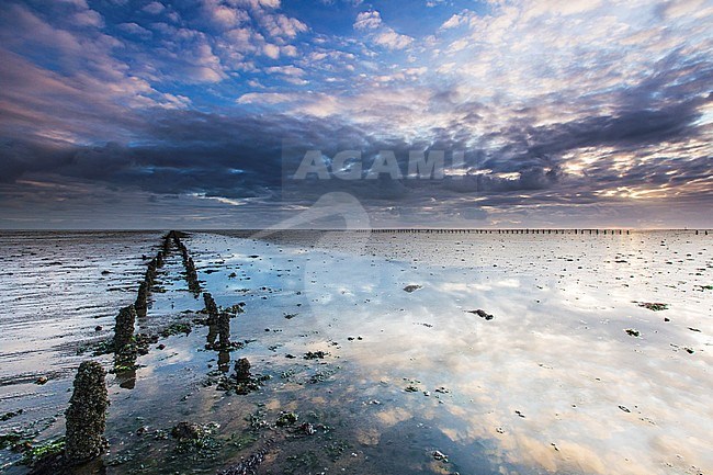 Clouds mirroring in the water stock-image by Agami/Wil Leurs,