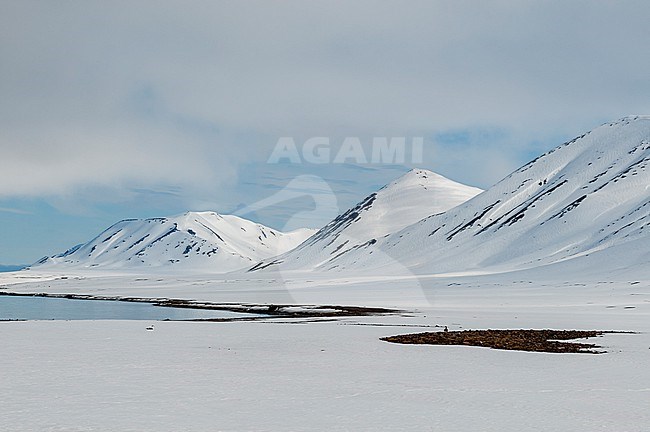 Snow layers mountains and the beach at Mushamna. Mushamna, Spitsbergen Island, Svalbard, Norway. stock-image by Agami/Sergio Pitamitz,