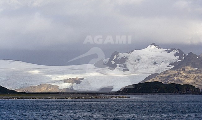 Salisbury Plain vanuit zee gezien; South Georgia seen from the sea stock-image by Agami/Marc Guyt,