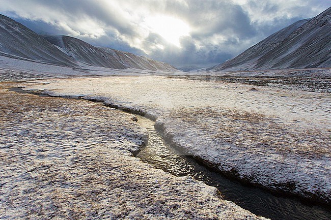 Valley with snow covered fields on Svalbard, arctic Norway. stock-image by Agami/Pieter-Jan D'Hondt ,