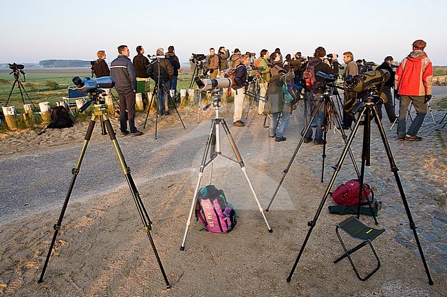 Groep vogelaars staand op trektelpost; Group of birdwatchers standing at migration watchpoint stock-image by Agami/Marc Guyt,