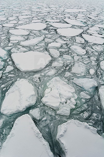 A view of melting sea ice. North polar ice cap, Arctic ocean stock-image by Agami/Sergio Pitamitz,