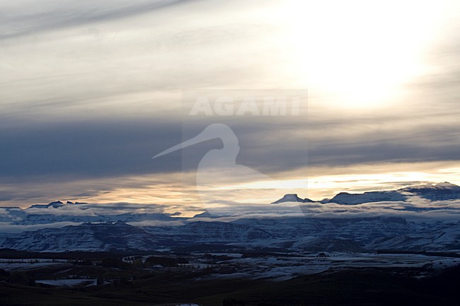 Underberg, Drakensbergen, South-Africa stock-image by Agami/Marc Guyt,