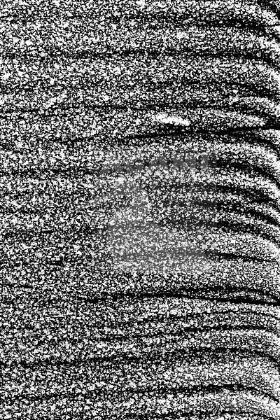 Berijpt hek, Frosted fence stock-image by Agami/Wil Leurs,