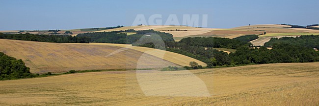Landbouw in de Morvan (Frankrijk), Agriculture in the Morvan (France) stock-image by Agami/Theo Douma,