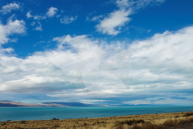El Calafate, Patagonia, Argentina stock-image by Agami/Marc Guyt,