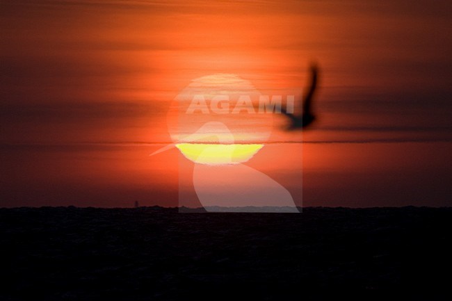 Zonsondergang, Sunset stock-image by Agami/Marc Guyt,