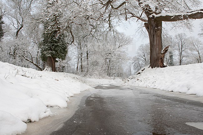 Winter op Landgoed Twickel; Winter at Landgoed Twickel stock-image by Agami/Han Bouwmeester,