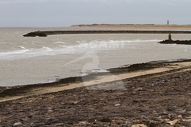Noordzee bij de Brouwersdam; North Sea at Brouwersdam stock-image by Agami/Menno van Duijn,