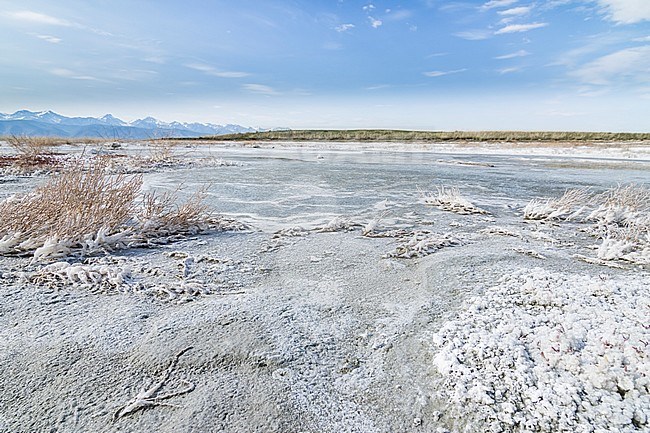 Salt lake, Barguzin valley, Russia (Buryatia) stock-image by Agami/Ralph Martin,