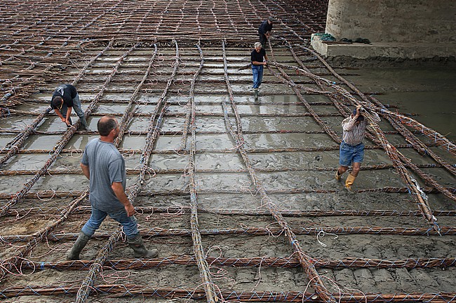 Een groepje mannen is een zinkstuk aan het maken A couple of men are manufactering a zinkstuk, a matrass made out of willowwood. These are being placed under water near bridges and riverbanks, in order to prevent erosion. stock-image by Agami/Jacques van der Neut,